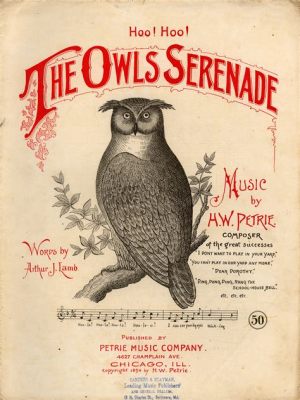  One-Eyed Owl's Midnight Serenade: Exploring the Unexpected Charm of Modern American Folklore