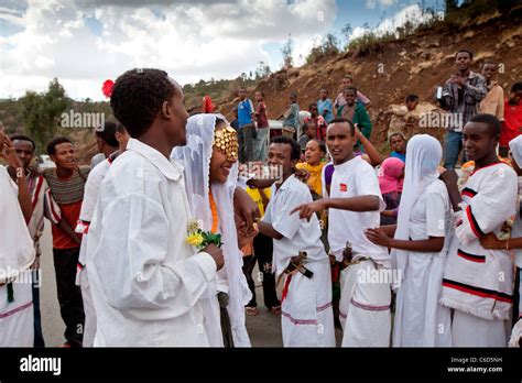  The Oromo Bridegroom - A Tale of Sacrifice, Wisdom, and a Dash of Intergalactic Cheese?!